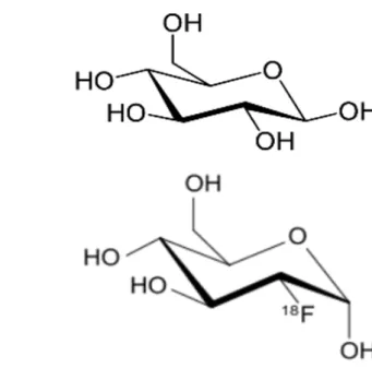 Figure 2 : Représentation du remplacement de la liaison OH par la liaison au Fluor 18