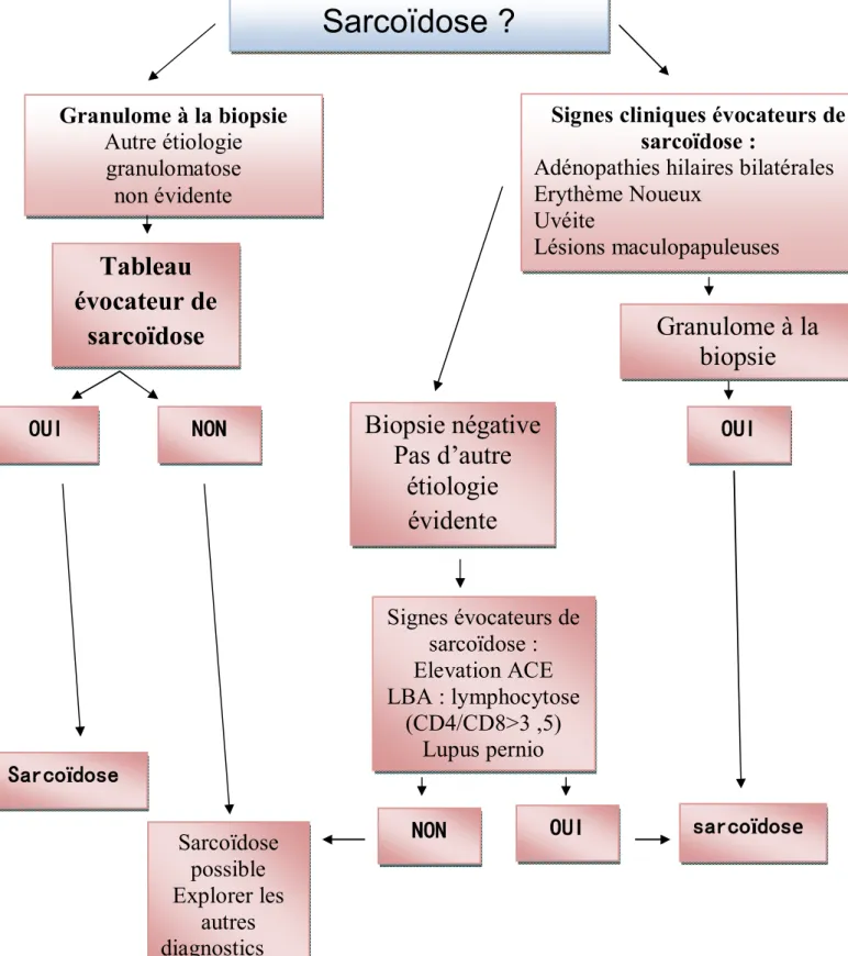 Figure 33:Arbre décisionnel diagnostique proposé dans la sarcoïdose  [81, 114]Sarcoïdose ?Granulome à la biopsie Autre étiologie granulomatose non évidente