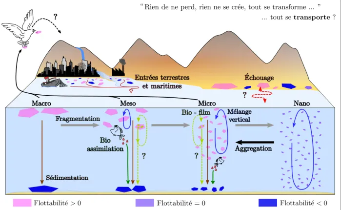 Figure 1.6 – Schéma des processus affectant le transport et la distribution en taille des déchets plastiques.