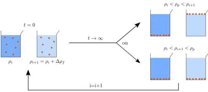 Figure 2.3 – Schéma de principe de l’estimation de la densité des particules, ρ p , par enca- enca-drement