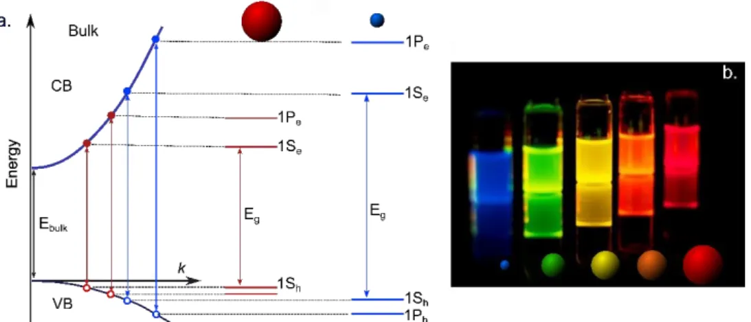 Figure I.1 (a) E-k dispersion relation of a bulk semiconductor (solid parabolic curves to the  left) and energy levels of a spherical quantum dot of the same materials but of different sizes