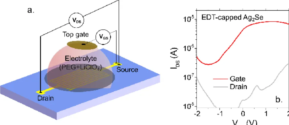 Figure II.12 (a) Scheme of electrolyte gated FET. (b) The transfer curve of EDT-capped Ag 2 Se  nanocrystals, with a constant drain-source voltage of 20 mV