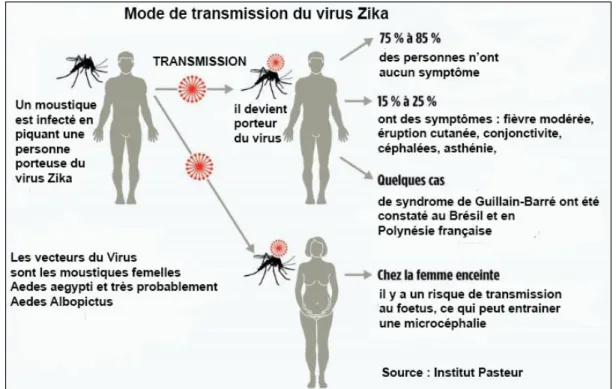 Figure 1: Résumé des symptômes de Zika 