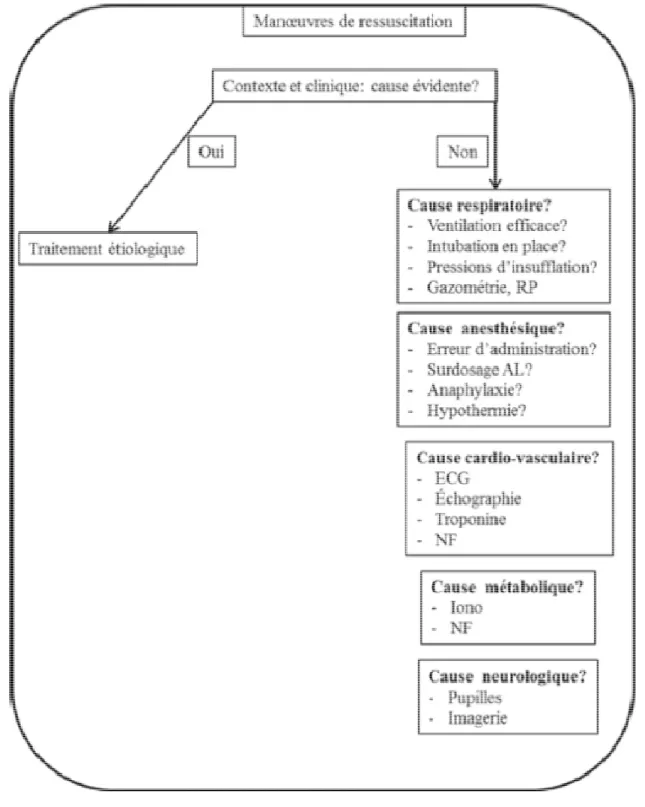 Figure  7 :  Algorithme de recherche étiologique et diagnostique 