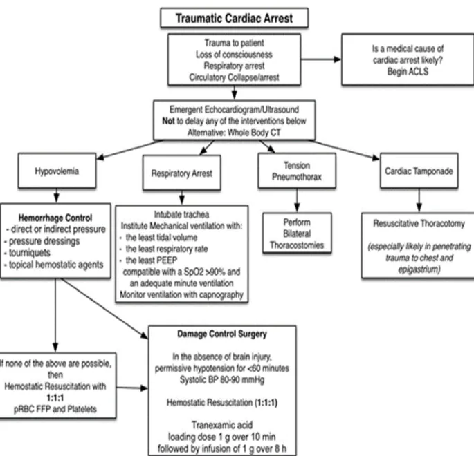 Figure  8  :  Cette figure illustre les étapes appropriées de l'évaluation et de la prise en charge  d'un patient victime d'un arrêt cardiaque traumatique du Conseil européen de réanimation, qui 