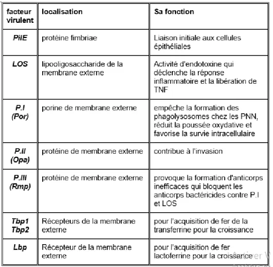 Tableau 4: Composants de surface de N. gonorrhoeae qui peuvent jouer un rôle dans la  virulence.