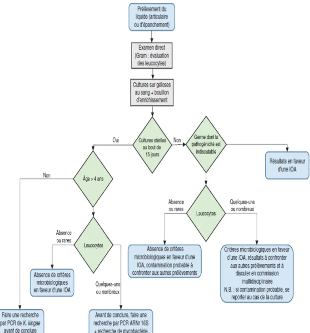 Figure 14: Logigramme décisionnel pour l’analyse d’un liquide articulaire ou  d’épanchement [44] 