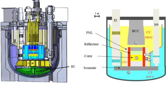Figure 1.2  Vue en coupe du réacteur expérimental ASTRID dans sa phase de design préliminaire (gauche), l'imposant récupérateur de corium (RC) en bas de la cuve écranterait des détecteurs de neutrons placés sous celle-ci