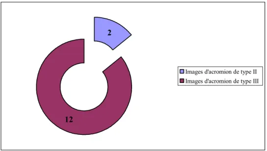 Figure n°8: Différents types d'acromion selon la classification de Morisson et Biglianni.