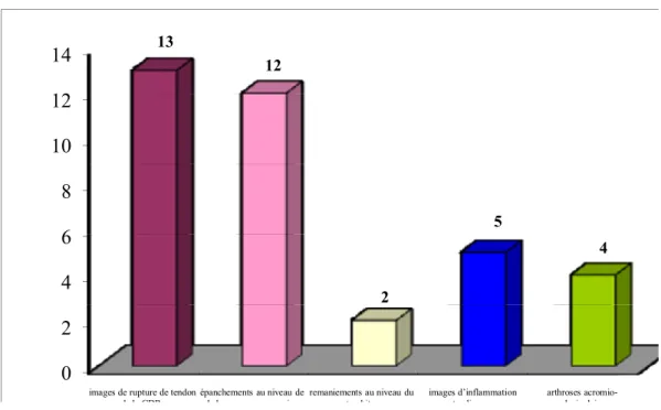 Figure 14:  Différentes lésions mises en évidence dans notre série sur IRM. 