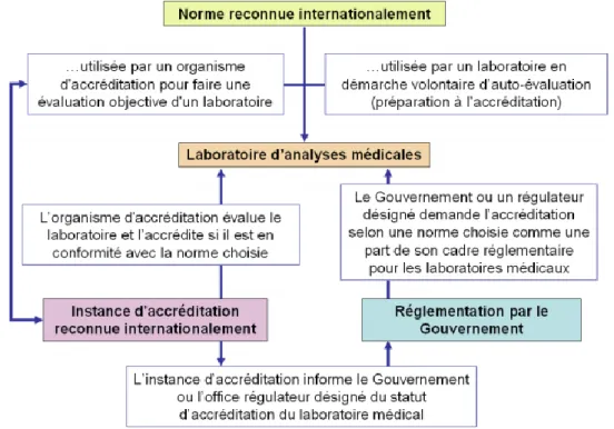 Figure 1: Circuit d’utilisation d’une norme par un laboratoire d’analyses de  biologie  médicale en France [25]  