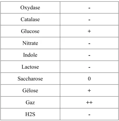 Tableau I: caractères biochimiques du C.Botulinum [5]. 
