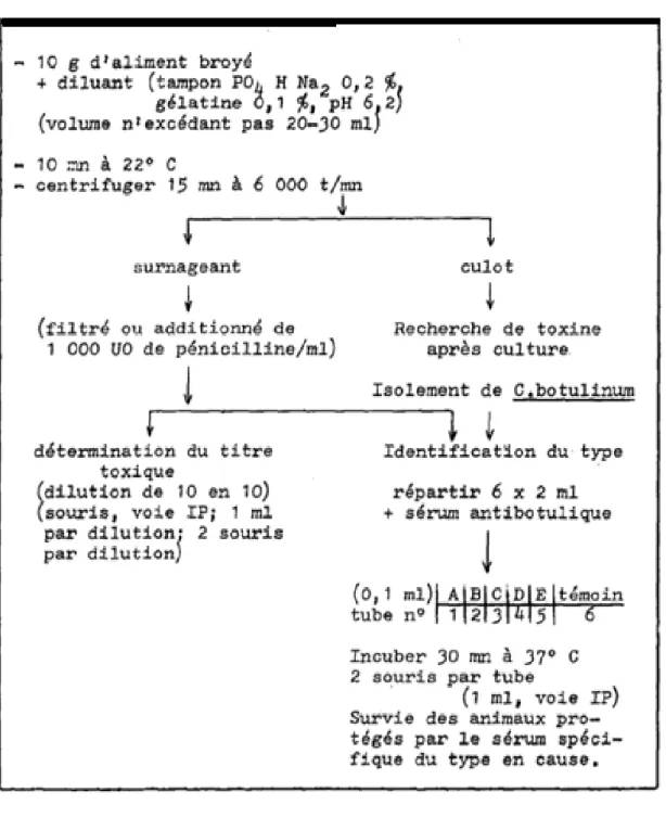 Figure 3:Identification d’une toxine Botulique à partir d’un aliment [16]. 