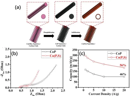 Figure 9. (a) Schematic illustration for the fabrication of sulfur doped CoP nanotube  arrays on carbon cloth; (b) Impedance spectra of sulfur doped CoP and pristine CoP; (c)  the rate performance difference between the sulfur-doped CoP and pristine CoP   
