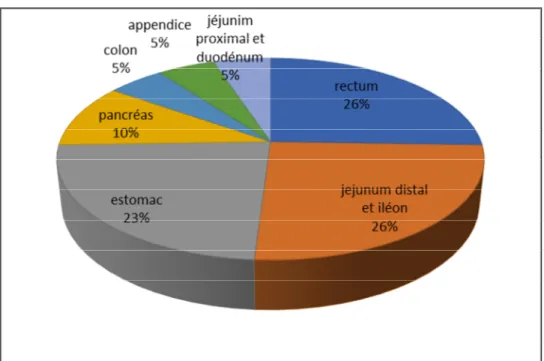 Figure 1: incidence des TNE digestives en fonction du site anatomique. 