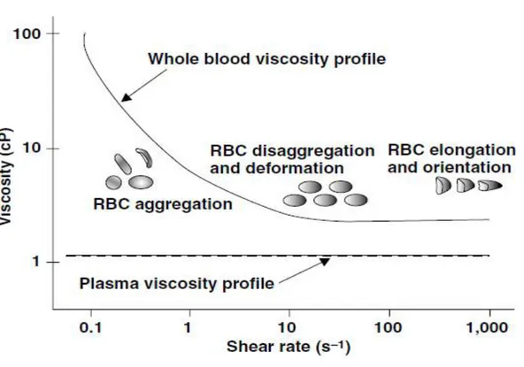 Figure 2: Variatition des viscosités du sang total et du plasma en fonction du taux de cisaillement