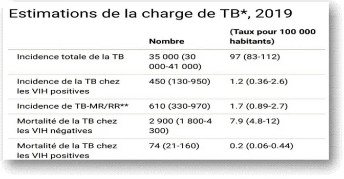 Figure 4: Estimations de la charge de la TP en 2019 au Maroc 