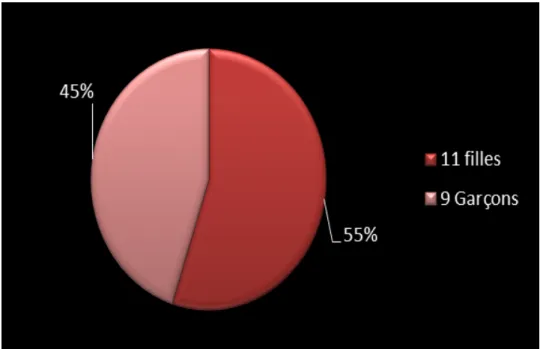 Figure 16 : Répartition des malades selon le sexe. 