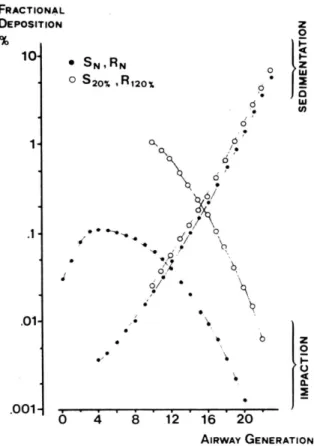 Figure 1-21 Effet d'une réduction de 20% de section sur le calibre des voies aériennes à partir de la dixième génération (bronches normales représentées par des disques noirs, bronches de section réduite représentées par des disques blancs)