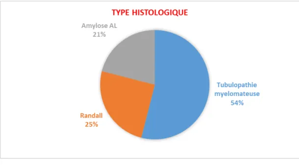 Figure  5 : Données de l’histologie rénale