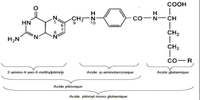 Figure 1: Structure de l’acide folique [102].