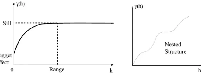 Figure 1.1: A variogram and a nested structure example.