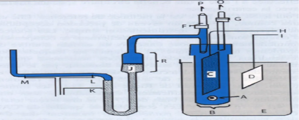 Figure 8: Schéma simplifié du principe de Coulter [16] 