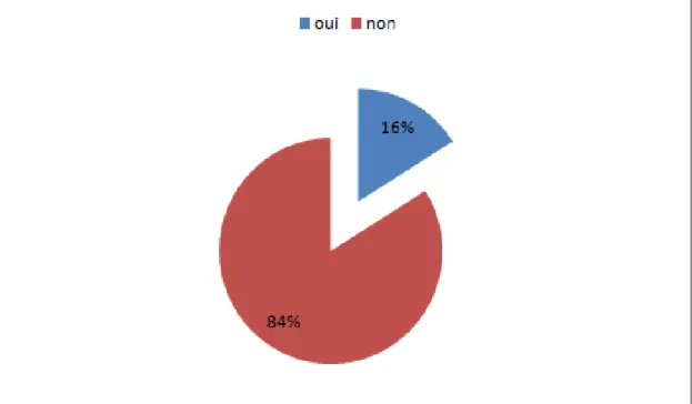 Figure 7: Profession des femmes 
