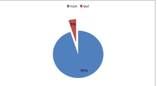 Figure 9: Mode de vie des parturientes 