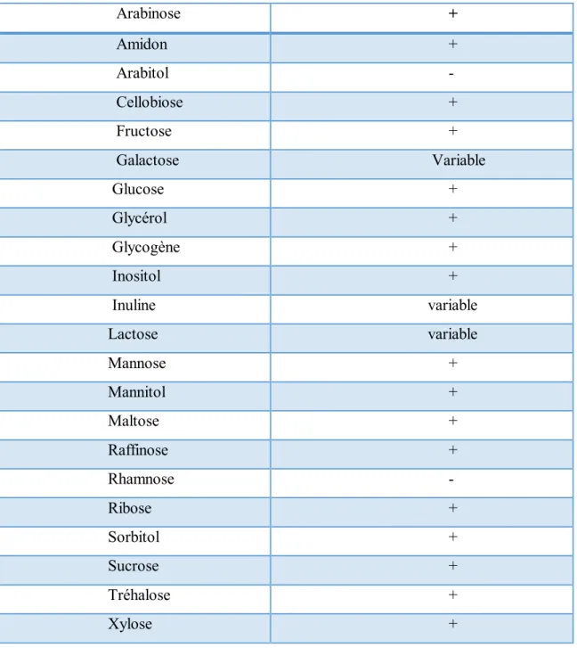 Tableau II : Sources de carbone utilisables par Bacillus subtilis [12] 