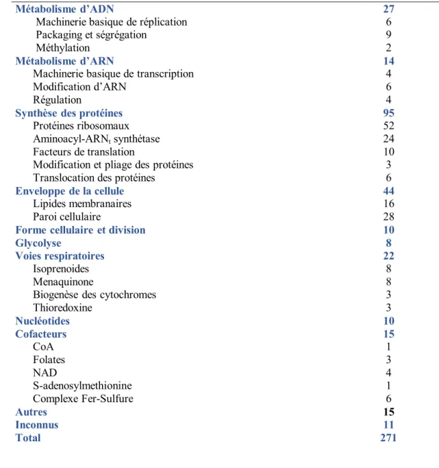 Tableau III : Liste des gènes indispensables à la survie de Bacillus subtilis [15] 