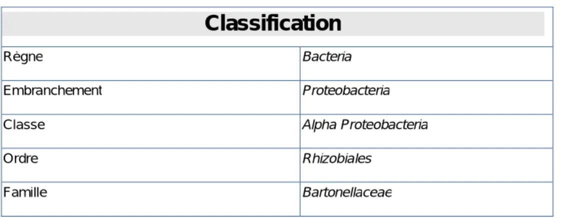 Tableau I: Classification des agents pathogènes de la famille Bartonellaceae : 