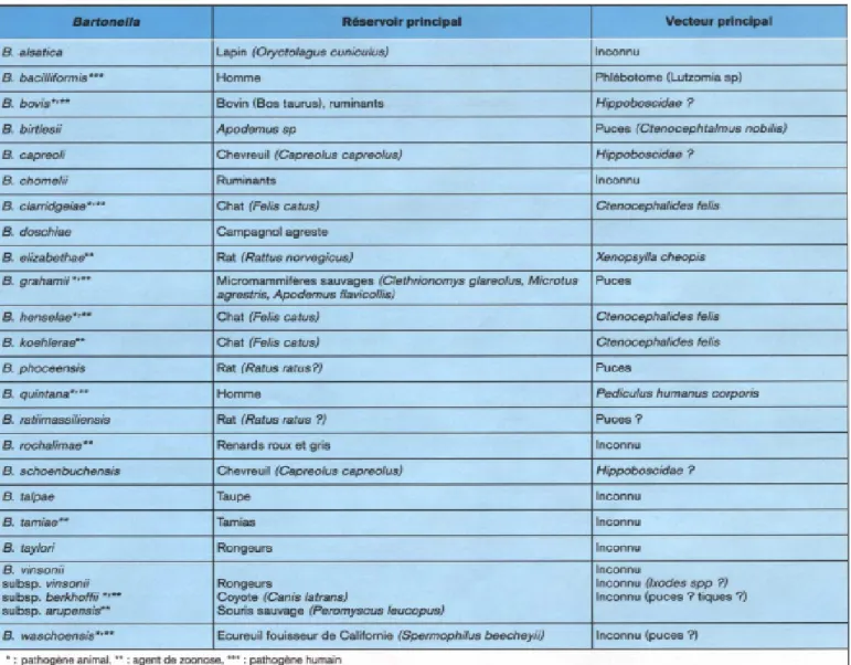 Tableau IV: Espèces et sous-espèces de Bartonella , hôtes principaux et vecteurs :[11] 