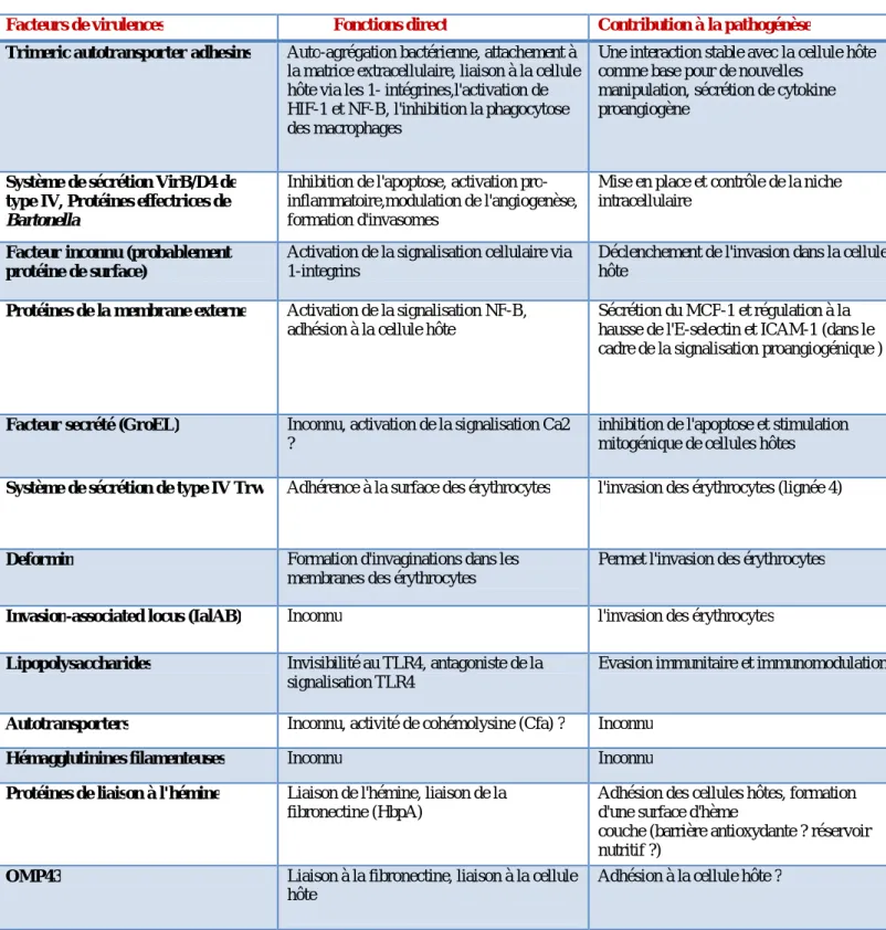 Tableau V: Fonctions et la contribution à la pathogénèse   des Facteurs de virulence des Bartonella