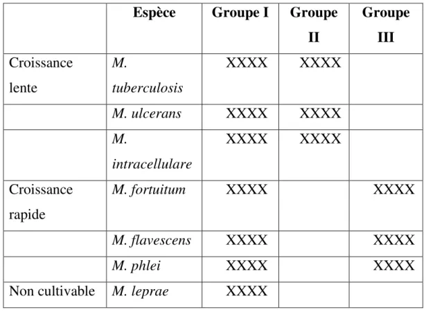 Tableau I : Relations entre les antigènes de diverses espèces de mycobactéries,  étudiées par double-diffusion avec des antisérums de lapin de titre élevé [22] 