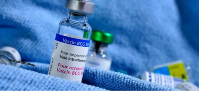 Figure 8 : Spécialité d’un vaccin BCG commercialisé au Maroc [32] 