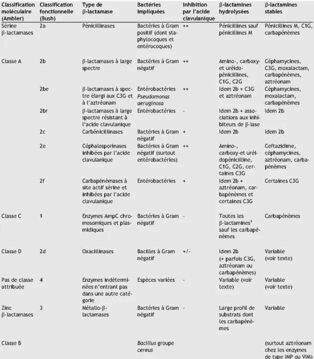 Tableau 1 : Correspondance entre les classifications moléculaire   et fonctionnelle des b-lactamases et résistances aux antibiotiques 