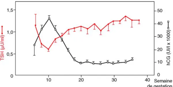 Figure 13 : Courbes en miroir de thyroid stimulating hormone (TSH) et de human  chorionic gonadotropin (hCG) au cours de la grossesse [27] 
