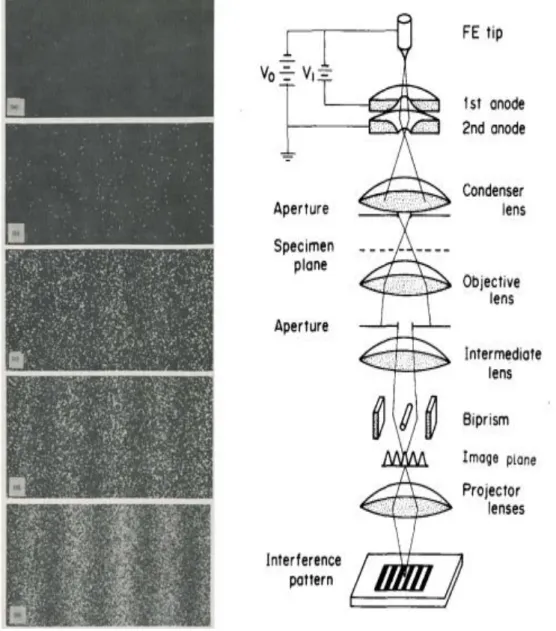 Figure 5: Electron-opticale of the interference experiment 