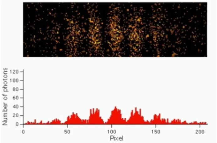 Figure 11: Observation de la construction des franges d’interférence, photon par photon, au  moyen de la caméra CCD intensifiée à t = 5sec 