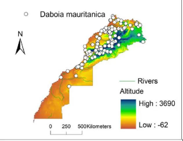 Figure 30: carte de distribution de Doboi maurtanica [14] 
