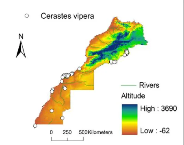 Figure 34: carte de distribution de Cerastes vipera [18] 