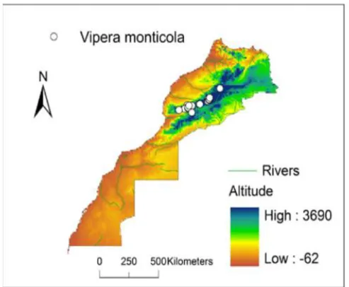 Figure 38: carte de distribution de Vipera monticola [22] 