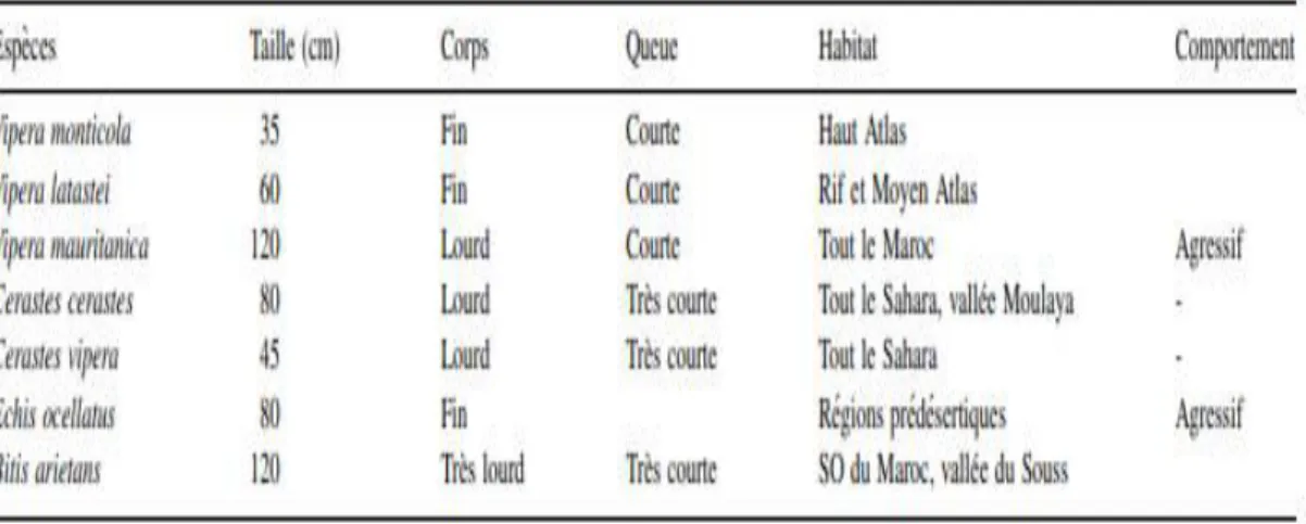 Tableau III: Caracteres morphologiques et habitats des viperes au Maroc [24] 
