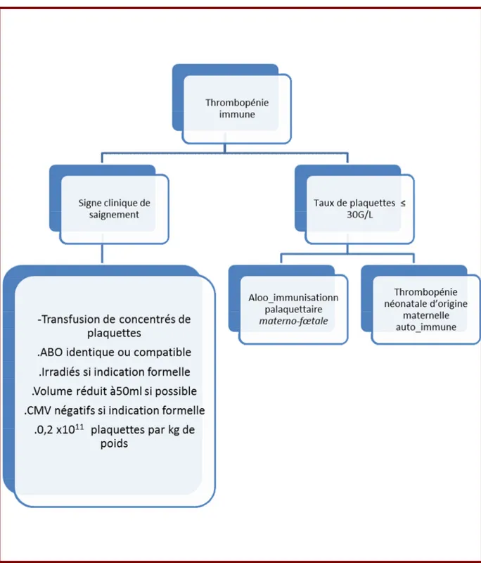 Figure 11-Les indications des concentrés de plaquettes en néonatalogie (thrombopénie  immune)