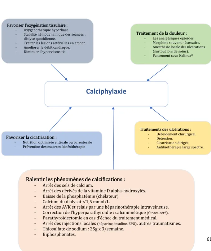 Figure 16 :   Stratégie thérapeutique