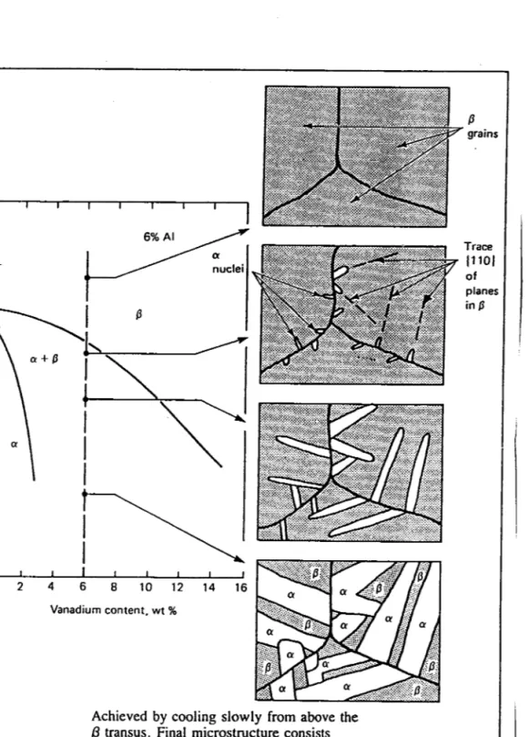 Figure f-3: Illustration schématique  de la formation de Ia structure de Widmanstâtten dans I'alliage TA6V  (1).
