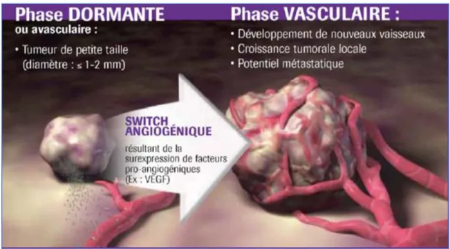 FIGURE 7 : Passage de la tumeur de la phase latente à la phase invasive « SWITCH »  angiogénique  [18]