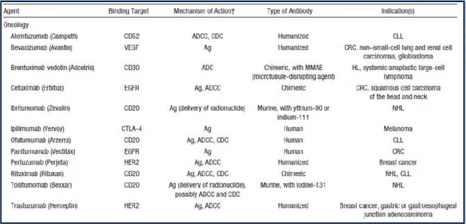 TABLEAU 1 : Anticorps monoclonaux thérapeutiques commercialisés par  l’autorisation de la FAD en 2012  [44]