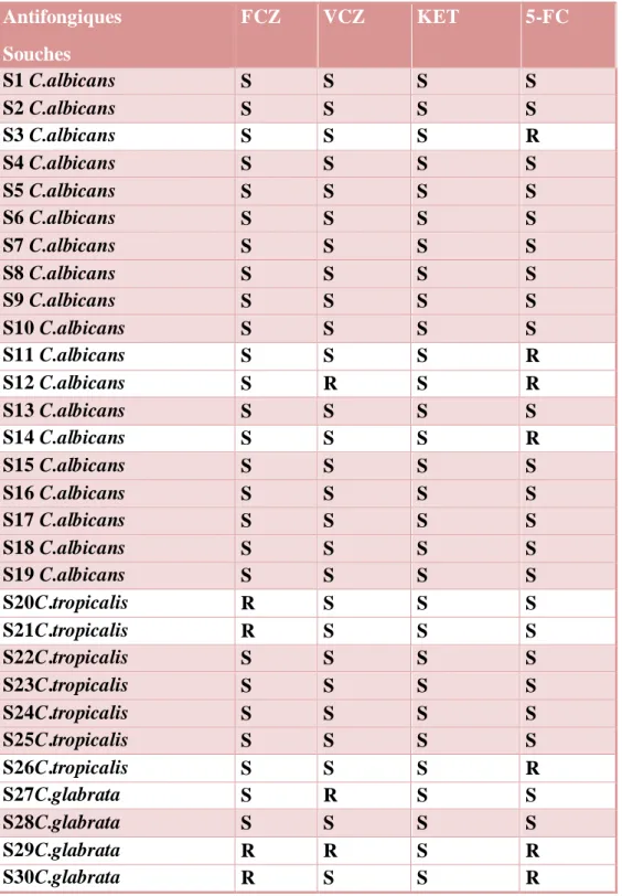 Tableau VII: Catégorisation clinique des souches de Candida isolées sur la base  des diamètres des zones d'inhibition 